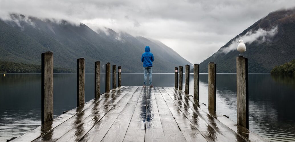 person standing on brown wooden dock