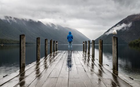 person standing on brown wooden dock