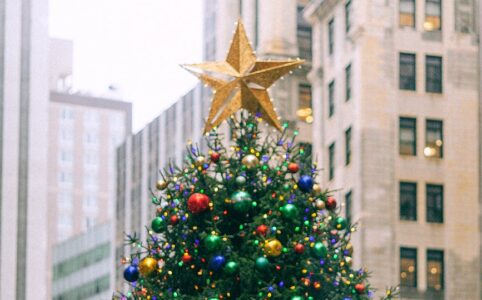 decorated christmas tree against urban multistage building facades