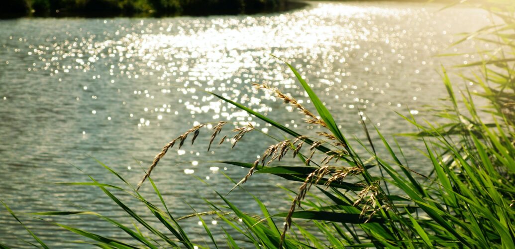 body of water at daytime