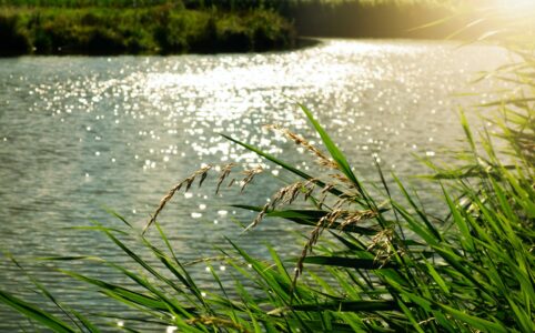 body of water at daytime