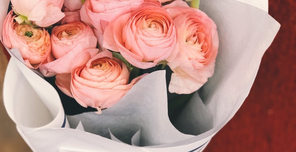 person wearing red sweater and black pants holding bouquet of pink flowers