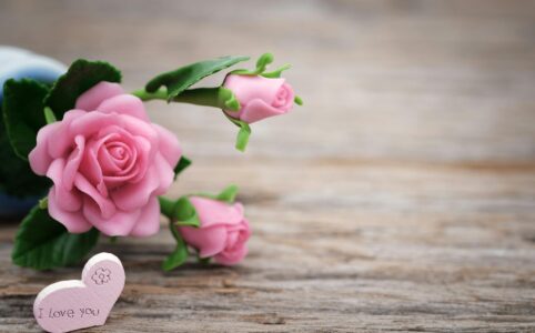 shallow focus photo of pink ceramic roses